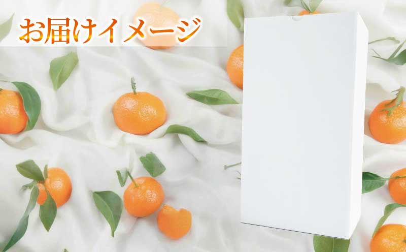 愛果28号 ジュース 720ml × 2本 セット 元気や みかん フルーツジュース ストレートジュース ストレート 蜜柑 mikan 100％ジュース 果汁 100％ 飲料 柑橘 果物 フルーツ くだもの みかんジュース 産地直送 数量限定 国産 愛媛 宇和島 H010-176008