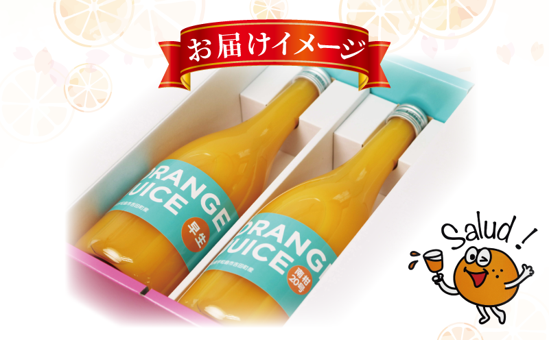 ジュース 元気がでる みかん 100％ ストレート ジュース 早生 南柑20号 各720ml × 2本 セット ORANGE Salud! オレンジサルー わせ 南柑 温州みかん みかんジュース 100%ジュース 蜜柑 mikan フルーツ ジュース 果汁 飲料 果物 くだもの 数量限定 国産 愛媛 宇和島 H010-196001