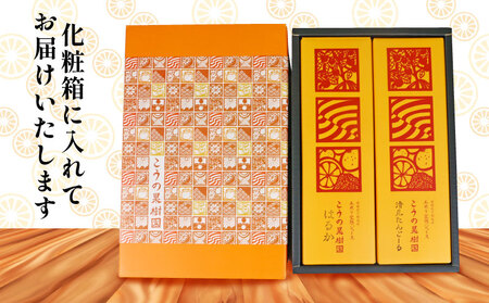 完熟 みかんジュース 化粧箱入り 木成り 2本セット 1000ml×2本 こうの果樹園 みかん ジュース ストレート ストレートジュース 100%ジュース 果汁 飲料 フルーツ 100％ 甘い さっぱり 蜜柑 ギフト 産地直送 数量限定 国産 愛媛 宇和島 H012-182001