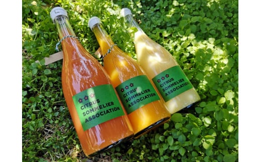 柑橘ジュース 720ml ×3本 おまかせ セット 柑橘ソムリエ 愛媛 果汁 飲料 柑橘 みかんジュース みかん 愛媛みかん 愛媛蜜柑 愛媛ミカン ストレート ジュース 100%ジュース 蜜柑 mikan 果物 くだもの フルーツ 国産 愛媛 宇和島 H015-064001