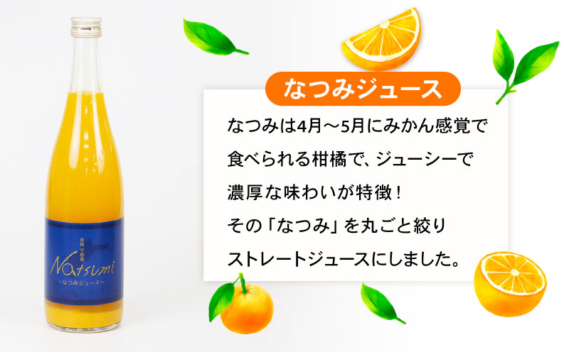 【果汁100%】みかんジュース なつみ ブラッドオレンジ セット 720ml×6本 えひめ南農業協同組合直販センター JA 蜜柑 mikan H020-009009