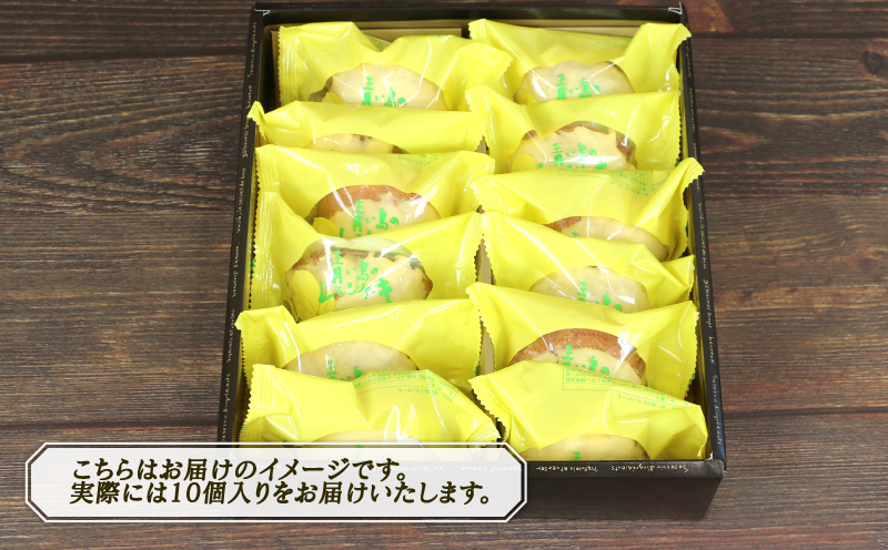 レモンケーキ 青い島のレモンケーキ 10個 ジュテーム 寿提夢 スイーツ お菓子 デザート おやつ 美味しい 贅沢 国産レモン レモン ケーキ remon れもん 檸檬 cake バター 卵 焼き菓子 洋菓子 菓子 プレゼント 記念日 おやつ 国産 愛媛 宇和島 J010-097002