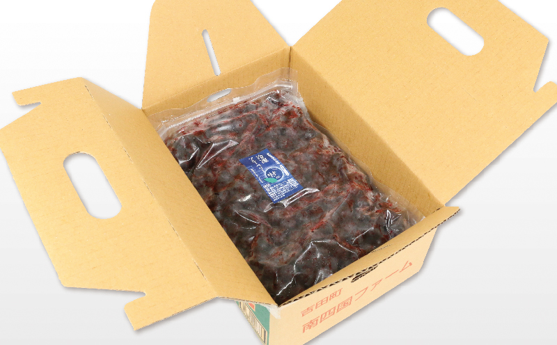 冷凍 ブルーベリー 500g 2袋 計1kg 粒楽 南四国ファーム 冷凍果実 果物 スムージー  お取り寄せ 自宅用  冷凍ブルーベリー フルーツ 国産 愛媛 宇和島 J013-035014