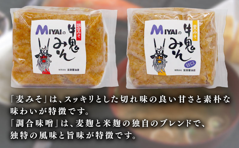 調味料セット 醤油 と 味噌 詰め合わせ 宮居醤油店 老舗 濃口醤油 淡口醤油 だし醤油 麦みそ 調合みそ 発酵 発酵調味料 調味料 醤油 しょうゆ 大豆 濃口 こいくち 麦 麹 こうじ 味噌 みそ 調合味噌 麦味噌 常温 保存 料理 国産 愛媛 宇和島 J015-122005