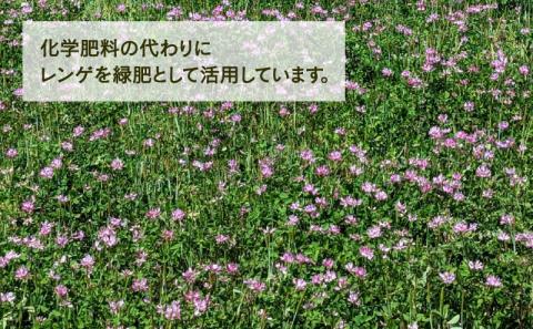 新米 特別栽培米 米 定期便 4回 計 20kg コシヒカリ 5kg × 4 高秋農園 先行予約 令和7年度産 特別栽培 玄米 ごはん ご飯 お弁当 おにぎり ブランド米 ふっくら ツヤツヤ 甘い 三間米 こめ 粘り 国産 愛媛 宇和島 G048-149004