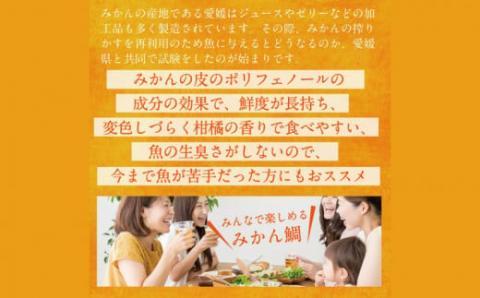 【お刺身におすすめ】 みかん 鯛 550 〜 700g 1尾 4節 宇和島プロジェクト マダイ たい 柵 養殖 D022-071004