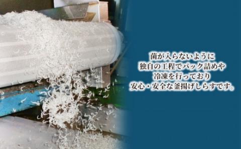 【小分けで便利！】 シラス 釜揚げしらす 100g × 10袋 計 1kg 時栄水産 冷凍 sirasu 小魚 じゃこ 干し 人気 水産 加工品 かまあげ D010-174001