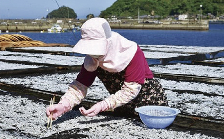 特選 ちりめん すくいちりめん 75g×5袋 計375g  愛媛県漁業協同組合宇和島支所 じゃこ ちりめんじゃこ しらす しらす干し ちりめん干し 冷蔵 人気 おつまみ 加工品 水産品 ふりかけ 弁当 おにぎり カタクチイワシ イワシ 産地直送 国産 愛媛 宇和島 D018-027004
