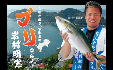 【冷凍】鰤しゃぶ ブリ 戸島ぶり しゃぶしゃぶ セット 450g 3人前 有限会社 アクアプラス ブランド魚 buri D022-090001