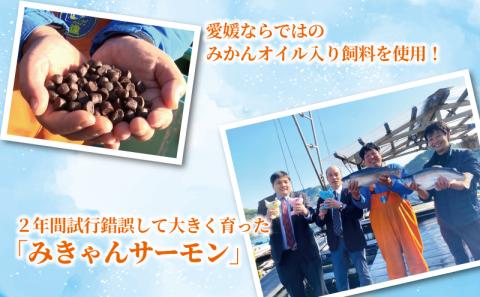 みきゃんサーモン スライス 約 320g 宇和島プロジェクト 国産サーモン サーモン 鮭 さけ 真空パック 小分け 海産物 特産品 刺身 数量限定 国産 愛媛 宇和島 D010-071013