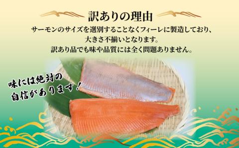 訳あり みきゃんサーモン フィーレ 約 600g ～ 700g 宇和島プロジェクト 国産サーモン サーモン 鮭 さけ 真空パック 刺身 数量限定 不揃い 国産 愛媛 宇和島 D016-071014
