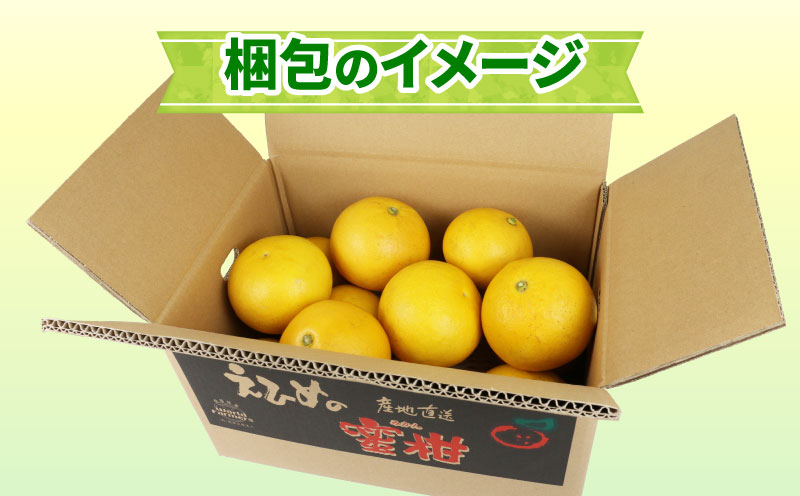 愛媛みかん 土佐文旦 4kg ワールドファーマーズ 先行予約 わけあり 訳あり品 ぶんたん 文旦 分担 果物 くだもの フルーツ 柑橘 蜜柑 みかん mikan ミカン 愛媛みかん  愛媛ミカン 愛媛県産 産地直送 農家直送 数量限定 国産 愛媛 宇和島 B010-024008