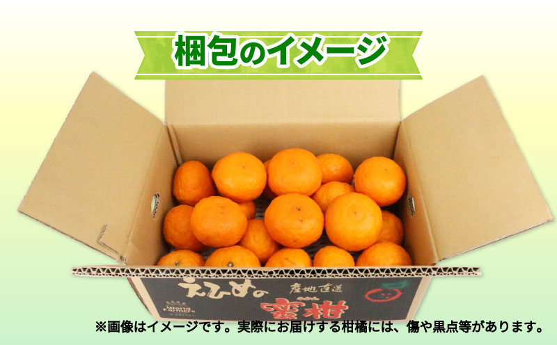 愛媛みかん 訳あり 伊予柑 10kg ワールドファーマーズ わけあり いよかん 愛媛ミカン 愛媛蜜柑 訳ありみかん 訳あり蜜柑 mikan 果物 くだもの フルーツ 柑橘 みかん 蜜柑 数量限定 産地直送 国産 愛媛 宇和島 B010-024022