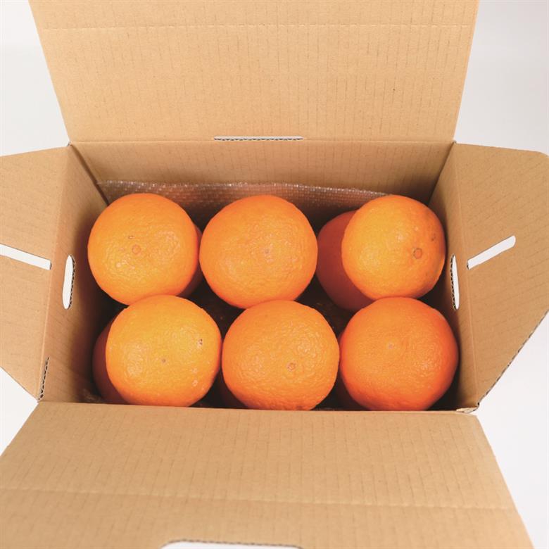 愛果28号 2.5kg 家庭用 つばさ農園 B010-048010