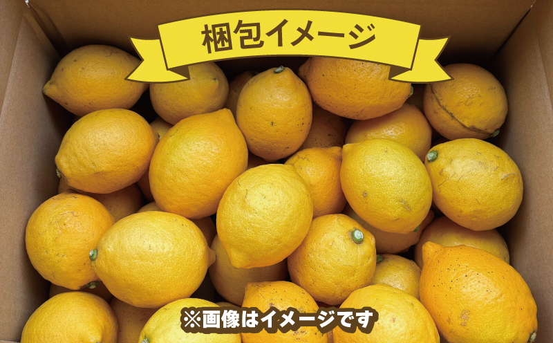 訳あり レモン 約5kg 玉津柑橘倶楽部 先行予約 サイズ 不揃い 訳アリ れもん 檸檬 remon 酸味 爽やか 果実 サワー ジュース チューハイ 果物 くだもの フルーツ 柑橘 愛媛蜜柑 愛媛みかん わけあり 訳あり品 産地直送 数量限定 国産 愛媛 宇和島 B010-072045