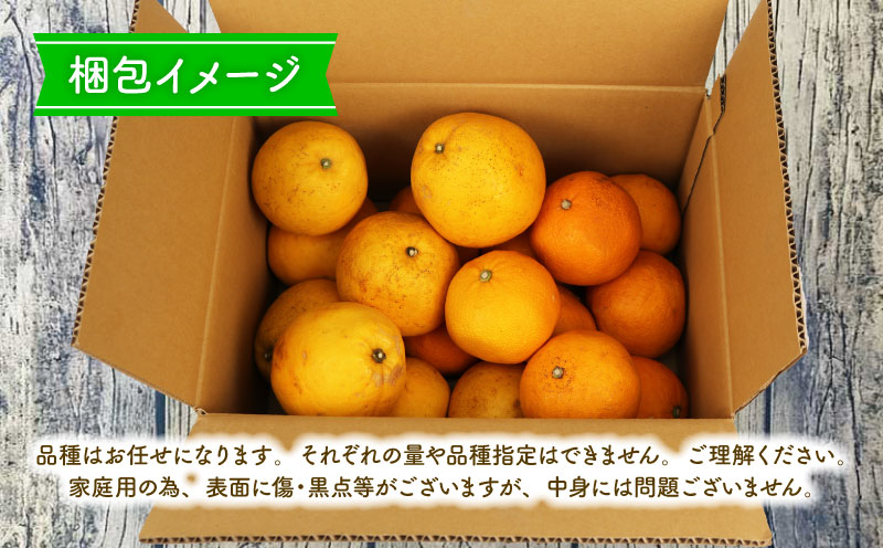 【品種おまかせ】柑橘  詰合せ セット 3~5kg 家庭用 フレッシュつちやま 先行予約 みかん mikan 蜜柑 愛媛 果物 くだもの フルーツ B010-096011