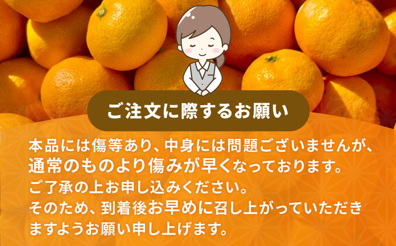 【訳あり】 黄金柑 3kg マル南フルーツ 先行予約 おうごんかん みかん B010-106010