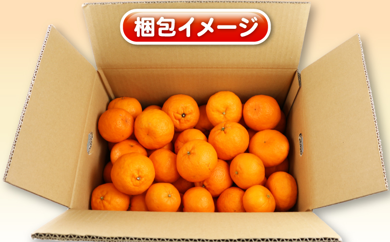 ポンカン 5kg 訳あり ぽんかん 杉本屋  訳あり品 先行予約 mikan みかん 訳アリ 訳有りジューシー デザート コク 甘い 果物 くだもの フルーツ 柑橘 蜜柑 ビタミン お取り寄せ 愛媛みかん 愛媛蜜柑 愛媛県産 産地直送 数量限定 国産 愛媛 宇和島 B010-143005