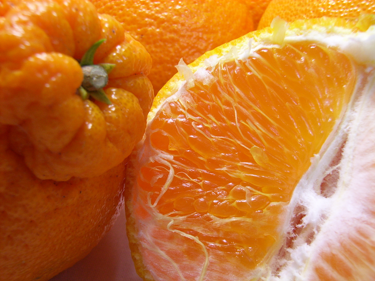 不知火 5kg 訳あり 不知火 杉本屋 先行予約 果物 くだもの わけあり 訳あり品 フルーツ 柑橘 蜜柑 みかん 不知火みかん mikan ミカン グルメ お取り寄せ デザート ビタミン 愛媛県産 愛媛みかん 愛媛ミカン 産地直送 数量限定 国産 愛媛 宇和島 B010-143009