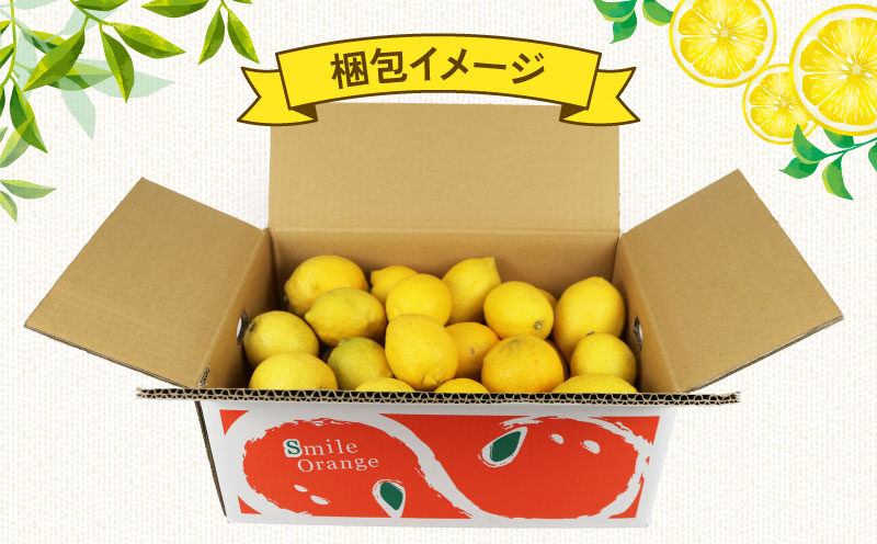 訳あり レモン 5kg  杉本屋 先行予約 わけあり れもん 檸檬 レモン果汁 酸味 高級 爽やか 果実 サワー ジュース チューハイ remon 青レモン れもん 檸檬 果物 くだもの ビタミン フルーツ 柑橘 農家直送 産地直送 数量限定 国産 愛媛 宇和島 B010-143012