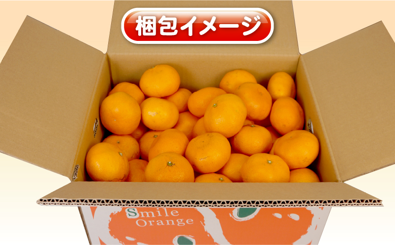 みかん 訳あり 完熟 大玉みかん 10kg 杉本屋 完熟みかん mikan わけあり 訳アリ 訳あり品 愛媛みかん 愛媛蜜柑 愛媛ミカン 温州 愛媛県産 温州みかん 果物 くだもの フルーツ 柑橘 みかん 蜜柑 産地直送 数量限定 国産 愛媛 宇和島 B010-143017