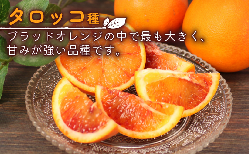 訳あり ブラッドオレンジ 約4kg 杉本屋 モロ タロッコ おまかせ 先行予約 わけあり 訳アリ 訳あり品 果物 くだもの フルーツ 愛媛ミカン 愛媛蜜柑 愛媛みかん 高級 希少 mikan 蜜柑 みかん ミカン 不揃い 愛媛県産 柑橘 産地直送 数量限定 国産 愛媛 宇和島 B010-143023