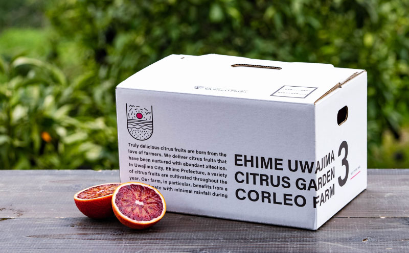 ブラッドオレンジ モロ Special selection 2.5kg コルレオファーム 果物フルーツ ブラッド オレンジ 柑橘 みかん 蜜柑 mikan 愛媛ミカン 愛媛蜜柑 愛媛みかん 農家直送 産地直送 数量限定 国産 愛媛 宇和島 B010-145004