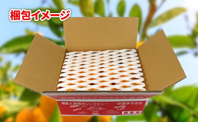 贈答用 早生みかん 宮川早生 5kg 植村農園 早生 わせ  贈答 ギフト プレゼント 果物 フルーツ 柑橘 みかん 蜜柑 産地直送 農家直送 数量限定 国産 愛媛 宇和島 B010-153008