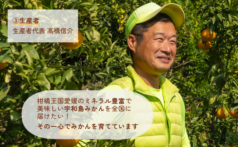 訳あり 河内晩柑 約10kg 協徳ガーデン 先行予約 訳アリ わけあり 晩柑 和製 グレープフルーツ 果物 フルーツ 柑橘 みかん 蜜柑 愛媛みかん 愛媛ミカン mikan 愛媛蜜柑 産地直送 農家直送 産地直送 数量限定 国産 愛媛 宇和島 B010-178007
