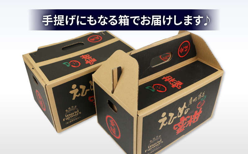 みかん 3kg 特別栽培米 コシヒカリ 伊達米 3kg 詰め合わせ セット ワールドファーマーズ 温州みかん 米 ミカン 蜜柑 mikan 愛媛みかん 愛媛蜜柑 愛媛県産 柑橘 果物 くだもの フルーツ 柑橘 農家直送 産地直送 数量限定 国産 愛媛 宇和島 B012-024003