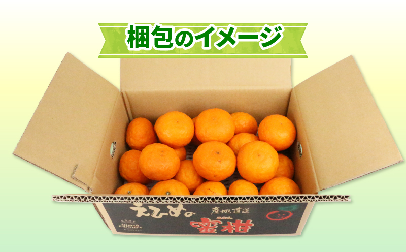 なつみ 家庭用 4kg ワールドファーマーズ 先行予約 初夏のみかん 人気みかん 南津海 マンダリン高級 ブランド 希少 品種 愛媛ミカン 愛媛蜜柑 蜜柑 みかん mikan 果物 くだもの フルーツ 柑橘 数量限定 産地直送 国産 愛媛 宇和島 B012-024013