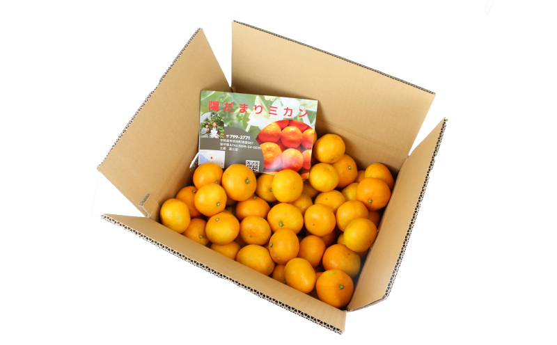 早生 みかん 10kg 家庭用 陽だまりミカン 早生温州 早生みかん 温州みかん 果物 くだもの フルーツ 柑橘 蜜柑 みかん mikan 農家直送 産地直送 数量限定 国産 愛媛 宇和島 B012-050001