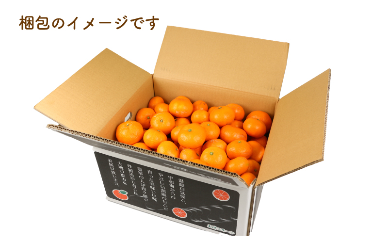 愛媛みかん 南柑20号 10kg S~2L サイズ 家庭用 上杉果樹園 先行予約 温州蜜柑 温州みかん mikan 愛媛ミカン 愛媛蜜柑 愛媛みかん みかん ビタミン 温州 蜜柑 果物 くだもの フルーツ 柑橘 農家直送 産地直送 数量限定 国産 愛媛 宇和島 B012-056002