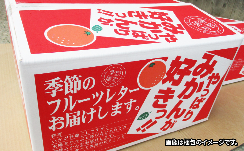 訳あり 河内晩柑 8.5kg 23～26玉 サイズ ミックス 不揃い 玉津みかん ニュービジネスユニット 晩柑 和製 グレープフルーツ 果物 フルーツ 柑橘 みかん 蜜柑 愛媛みかん 産地直送 農家直送 産地直送 数量限定 国産 愛媛 宇和島 B012-058010