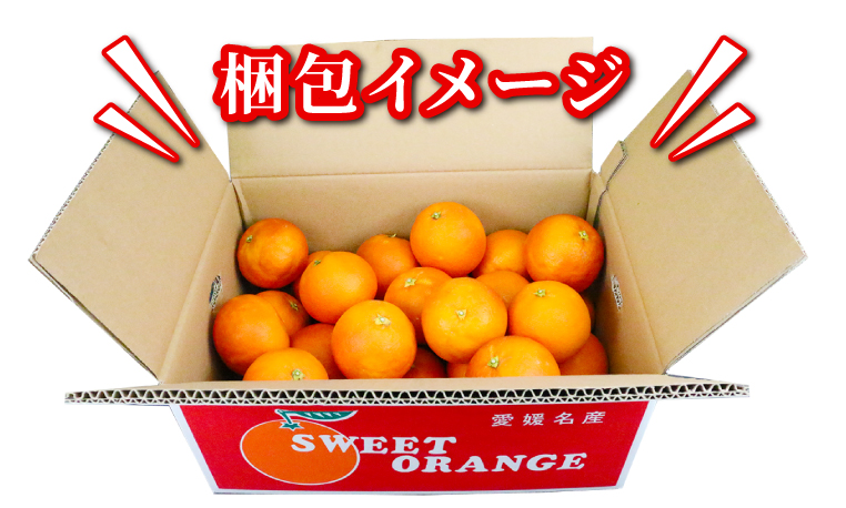 準 贈答用 ブラッドオレンジ タロッコ 5kg 矢野青果 先行予約 オレンジ みかん 柑橘 果物 くだもの オレンジフルーツ フルーツ 濃厚 甘い 甘味 蜜柑 準贈答用 贈答品 贈答 ギフト プレゼント 産地直送 農家直送 数量限定 国産 愛媛 宇和島 B012-171020