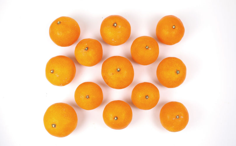 姫柑露 愛果28号 3kg 家庭用 南四国ファーム  高級 ブランド 限定 品種 甘い  果物 フルーツ 柑橘 みかん 国産 愛媛 宇和島 産地直送 農家直送 数量限定  B013-035011