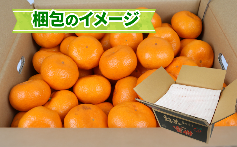 愛媛みかん 南柑20号 10kg 甘い 美味しい ワールドファーマーズ 先行予約 温州 みかん うんしゅう 温州みかん 愛媛ミカン 愛媛蜜柑 愛媛県産みかん みかん 蜜柑 mikan 果物 くだもの フルーツ 柑橘 数量限定 産地直送 国産 愛媛 宇和島 B015-024002
