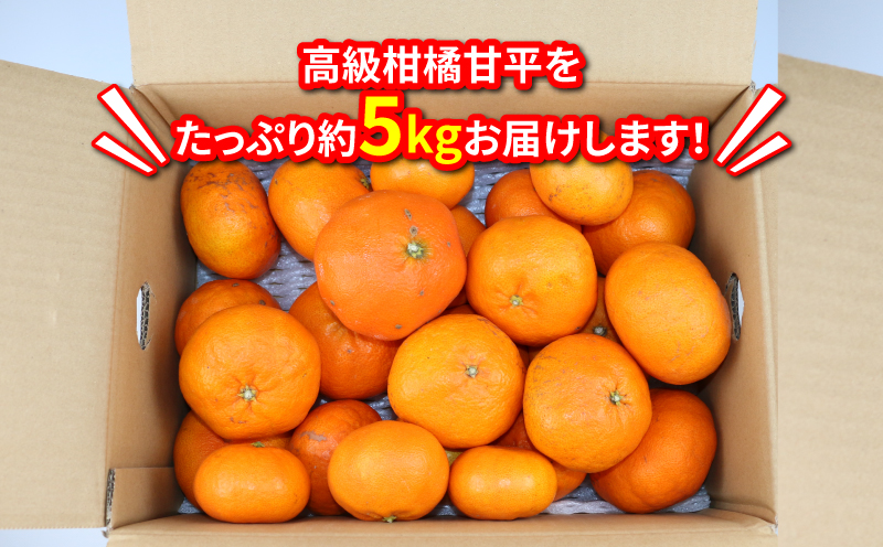 訳あり 甘平 5kg 玉津柑橘倶楽部 愛媛みかん 愛媛蜜柑 愛媛ミカン 完熟 高級 大粒 限定 品種 希少 ブランド シャキシャキ 玉津 みかん mikan 予約受付 果物 フルーツ 柑橘 濃厚 甘い 蜜柑 産地直送 数量限定 国産 愛媛 愛媛県産 宇和島 B015-072027