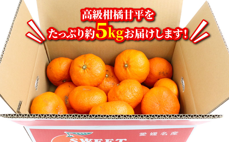 甘平 5kg 家庭用 矢野青果 先行予約 高級 希少 限定 品種 ブランド 高級柑橘 甘い シャキシャキ かんぺい 希少 果物 くだもの フルーツ 柑橘 みかん 蜜柑 愛媛蜜柑 愛媛みかん mikan 農家直送 産地直送 数量限定 国産 愛媛 愛媛県 宇和島 B015-171009