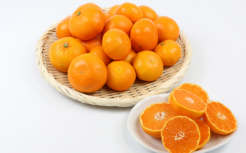 贈答用 優品 愛媛 みかん 早生 温州 10kg S~L サイズ ミックス 玉津