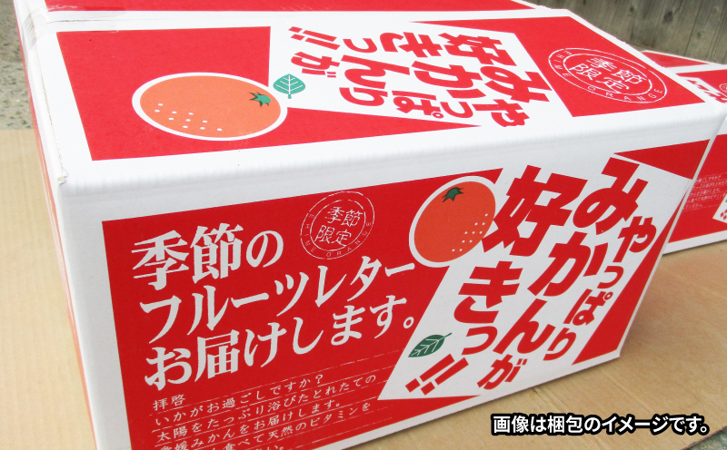 河内晩柑 贈答用 8.5kg 23～26玉 サイズ ミックス 不揃い 玉津みかん ニュービジネスユニット 先行予約 晩柑 かわちばんかん 和製 グレープフルーツ 高級 ギフト 贈答品 果物 フルーツ みかん 蜜柑 農家直送 産地直送 数量限定 国産 愛媛 宇和島 B018-058013