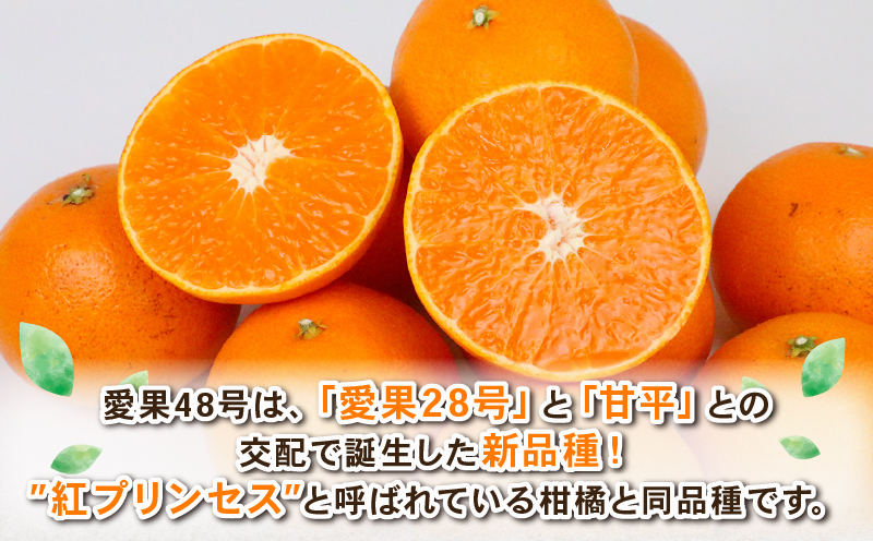 せとか 2kg 愛果48号 2kg 食べ比べ セット 計4kg Shirai.agrifarm 先行予約 みかん 愛媛ミカン 愛媛蜜柑 mikan 柑橘 果物 くだもの フルーツ 高級 ブランド 限定 品種 濃厚 甘い 甘味 蜜柑 ゼリー プルプル 産地直送 農家直送 数量限定 国産 愛媛 宇和島 B025-115009