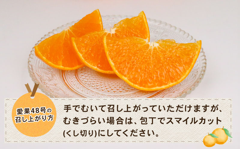 愛果48号 新品種 約4kg M~3L サイズ Shirai.agrifarm 先行予約 高級柑橘 みかん 愛媛ミカン 愛媛蜜柑 mikan 柑橘 果物 愛果28号 甘平 くだもの フルーツ 高級 ブランド 美味しい 濃厚 蜜柑 産地直送 農家直送 数量限定 国産 愛媛 宇和島 B030-115007
