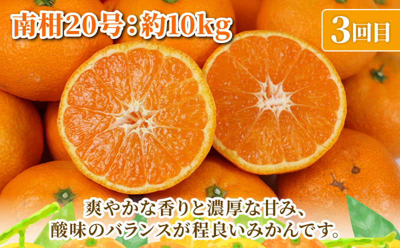 旬の 温州みかん 10kg × 3回 定期便 矢野青果 準贈答用 極早生 宮川早生 南柑20号 みかん mikan 愛媛みかん 愛媛ミカン 愛媛蜜柑 果物 くだもの フルーツ 濃厚 甘い 甘味 さっぱり 酸味 蜜柑 産地直送 数量限定 国産 愛媛 宇和島 B072-171028