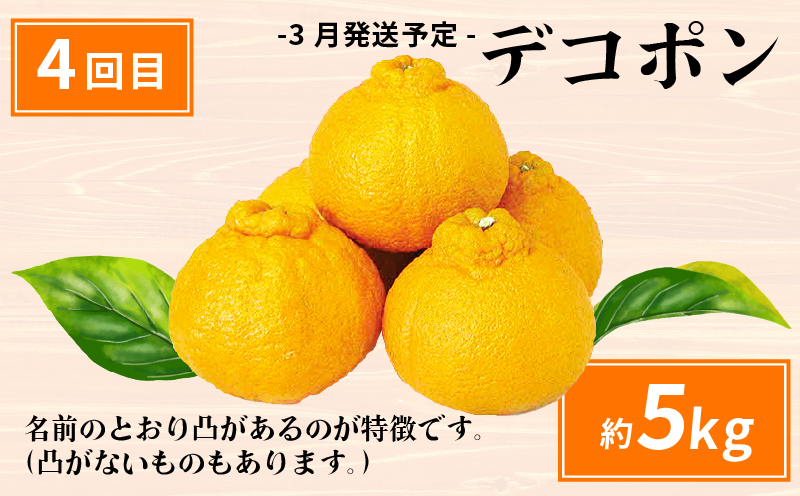 愛媛みかん えひめの旬の柑橘 産地直送 4回 定期便 えひめ南農業協同組合直販センター JA 早生温州 南柑20号 ポンカン 約10kg デコポン 約5kg 蜜柑 みかん mikan 果物 くだもの フルーツ 柑橘 愛媛蜜柑 農家直送 産地直送 数量限定 国産 愛媛 宇和島 B080-009011