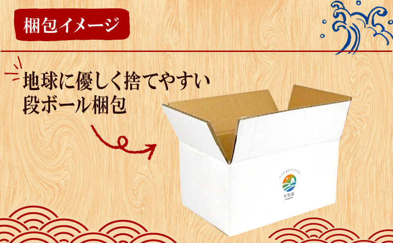 漬丼 厳選 活締め 全15種 お任せ 漬け丼 6食 セット 南予ビージョイ 真鯛 鰤 シマアジ カンパチ ヒラマサ ヒラメ アジ サーモン メバチマグロ サワラ 太刀魚 チダイ イトヨリダイ イサキ ヤリイカ 食べ比べ づけ丼 人気 加工品 新鮮 水産品 漬け 刺身 海鮮 海鮮丼 数量限定 愛媛 宇和島 D013-150019