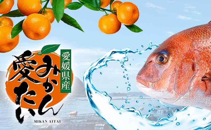 真鯛 みかん愛たい スキンレスロイン 3～4柵 600g 以上 南予ビージョイ お刺身 ロイン 鯛しゃぶ カルパッチョ 鯛めし 鯛茶漬け tai 産地直送 お取り寄せ 新鮮 鍋 海鮮鍋 冷蔵 個包装 鮮魚 海の幸 魚介 国産 愛媛 宇和島 D014-150012