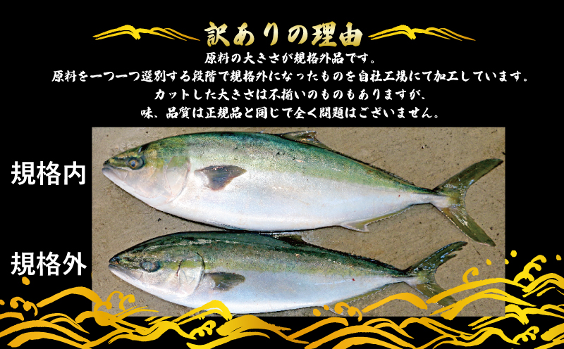 【訳あり】 ブリ 鰤 切身 計 1.5kg セット (250g×6 パック) 味付け オイル 付き 南予ビージョイ 骨なし buri ぶり 便利 魚 D015-150014