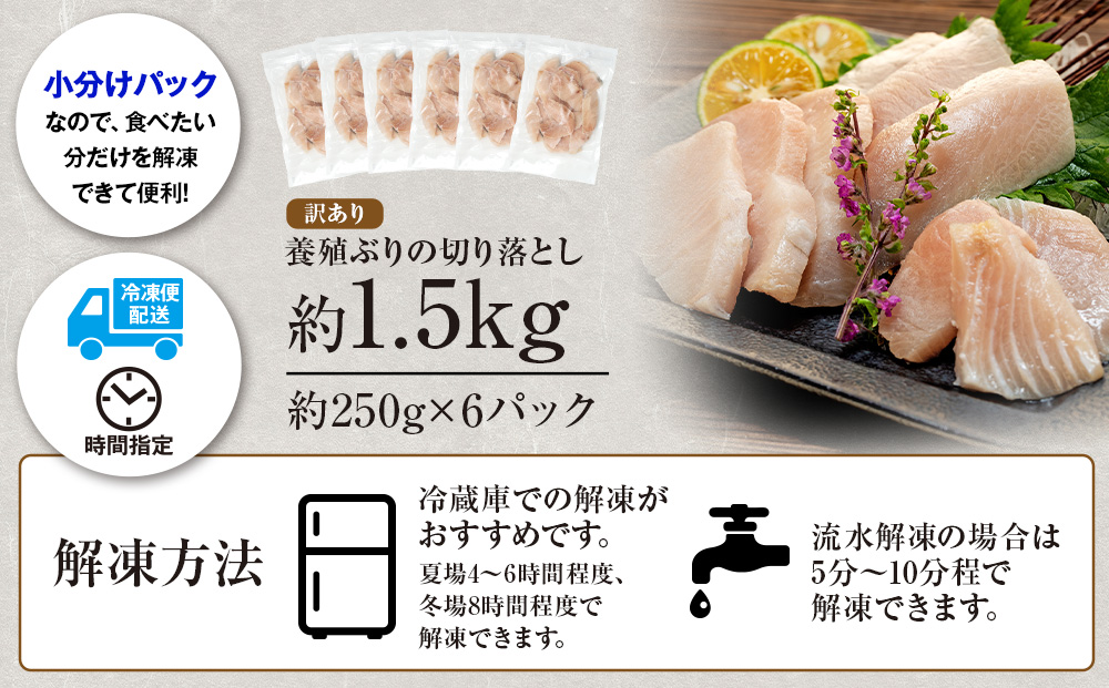 【訳あり】ブリ 鰤 ぶり 切り落とし 計約 1.5kg （ 250g × 6 パック ） 南予ビージョイ buri 魚 刺身 わけあり 人気 ふるさと納税 buri D017-150007