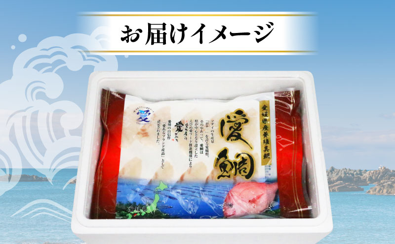 真鯛 愛媛県 認定 「 愛ある ブランド魚 」 愛鯛 しゃぶしゃぶ 600g フレッシュつちやま 鯛 マダイ タイ tai 鯛しゃぶ たいしゃぶ 養殖 刺身 お刺身 漬け丼 アレンジ お手軽 冷凍 小分け パック 流水解凍 便利 新鮮 産地直送 国産 愛媛 宇和島 D020-096029